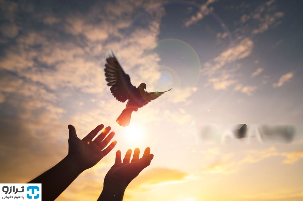 عفو معیاری ۱۴۰۴ چیست و مشمول چه کسانی میشود؟