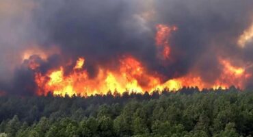 ابعاد حقوقی آتش‌سوزی جنگل‌های الیت مازندران