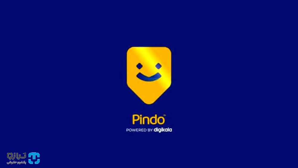 بررسی حکم شلاق مدیرعامل شرکت پیندو و ابطال پروانه کسب آن